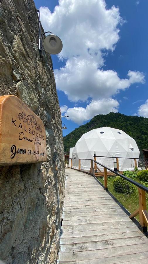 Hotel Kaledome Orman Evleri Çamlıhemşin Exterior foto